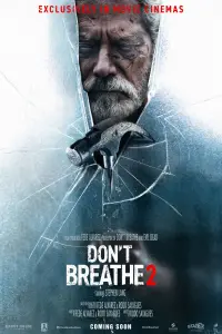 Poster to the movie "Don