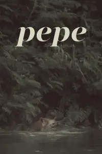 Poster to the movie "Pepe" #192059