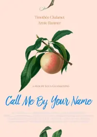 Poster to the movie "Call Me by Your Name" #37248