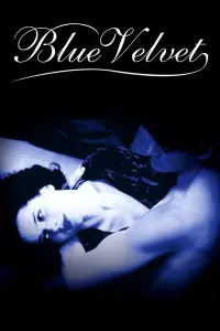 Poster to the movie "Blue Velvet" #204332