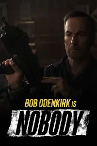 Poster to the movie "Nobody" #35867