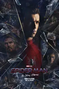 Poster to the movie "Spider-Man: No Way Home" #3413