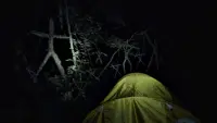 Backdrop to the movie "The Blair Witch Project" #372456