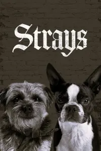 Poster to the movie "Strays" #443875