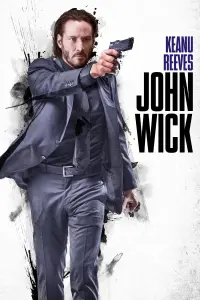 Poster to the movie "John Wick" #51544