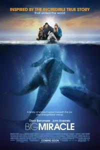 Poster to the movie "Big Miracle" #274998