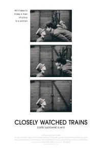 Poster to the movie "Closely Watched Trains" #526793