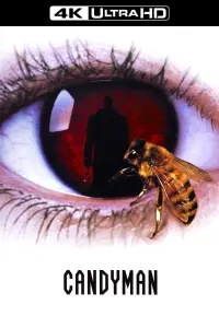 Poster to the movie "Candyman" #107569