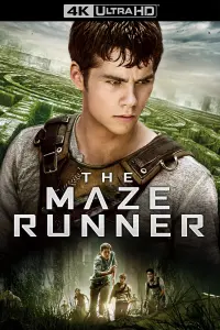 Poster to the movie "The Maze Runner" #7916