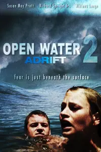 Poster to the movie "Adrift" #348149