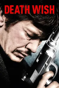 Poster to the movie "Death Wish" #254891