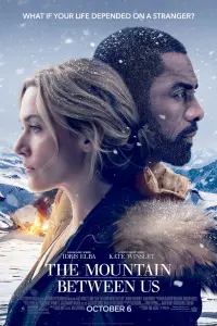 Poster to the movie "The Mountain Between Us" #60182