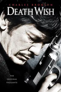 Poster to the movie "Death Wish" #254896