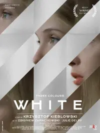 Poster to the movie "Three Colors: White" #99653