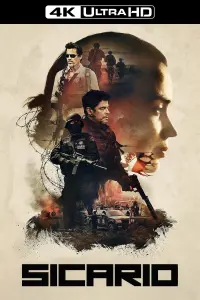 Poster to the movie "Sicario" #39670