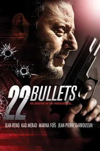 Poster to the movie "22 Bullets" #100282