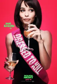 Poster to the movie "Rough Night" #107105