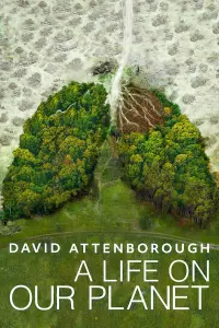 Poster to the movie "David Attenborough: A Life on Our Planet" #335044