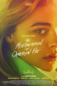 Poster to the movie "The Miseducation of Cameron Post" #151575