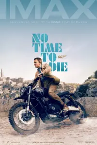 Poster to the movie "No Time to Die" #219585