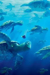 Poster to the movie "Finding Dory" #244200