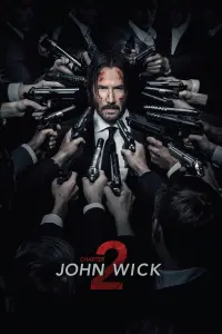 Poster to the movie "John Wick: Chapter 2" #168932