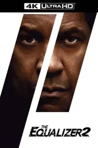 Poster to the movie "The Equalizer 2" #266476