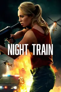 Poster to the movie "Night Train" #10282