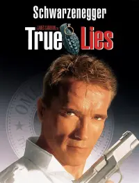 Poster to the movie "True Lies" #242852