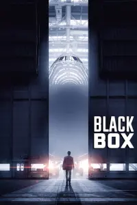 Poster to the movie "Black Box" #221207