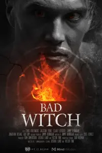 Poster to the movie "Bad Witch" #648882