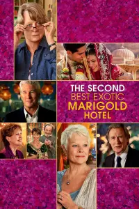 Poster to the movie "The Second Best Exotic Marigold Hotel" #159220