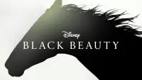 Backdrop to the movie "Black Beauty" #179854