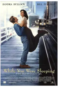 Poster to the movie "While You Were Sleeping" #97912