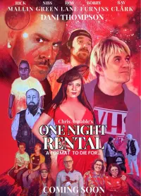 Poster to the movie "One Night Rental" #312033