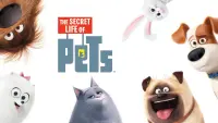 Backdrop to the movie "The Secret Life of Pets" #152749