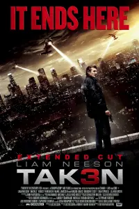 Poster to the movie "Taken 3" #19202