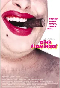 Poster to the movie "Pink Flamingos" #296591