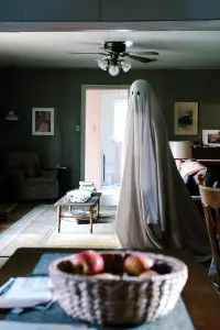 Poster to the movie "A Ghost Story" #239124