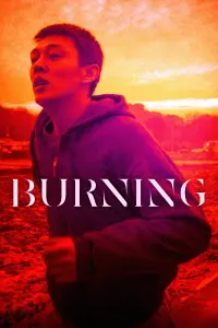 Poster to the movie "Burning" #218847