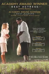 Poster to the movie "The Blind Side" #49191