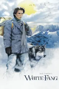 Poster to the movie "White Fang" #122537