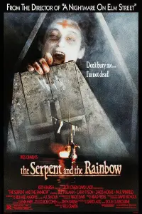 Poster to the movie "The Serpent and the Rainbow" #111957