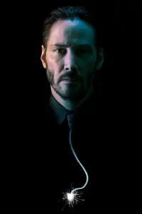 Poster to the movie "John Wick" #216565