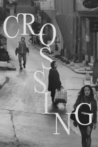 Poster to the movie "Crossing" #542957