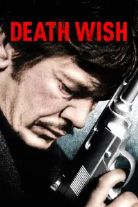 Poster to the movie "Death Wish" #254893