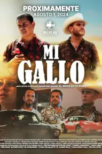 Poster to the movie "Mi Gallo" #524910