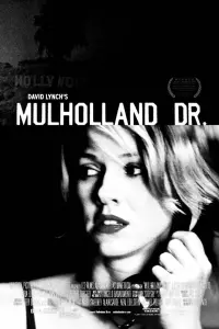 Poster to the movie "Mulholland Drive" #517010