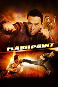 Poster to the movie "Flash Point" #253975