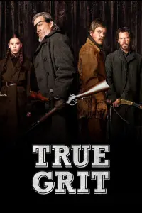 Poster to the movie "True Grit" #93850